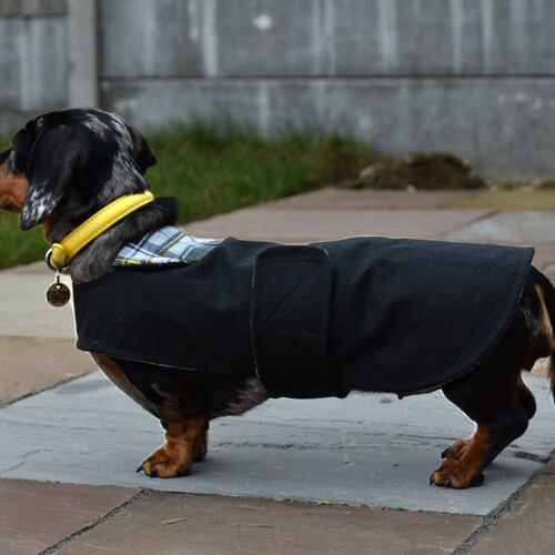 Luxury Dachshund Wax Coat Dachshund Waterproof Coat Custom Etsy