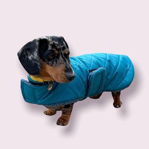 Manteau extra chaud pour teckel, Coupe personnalisée imperméable, Manteau d'hiver pour teckel, Manteau pour chien image 5