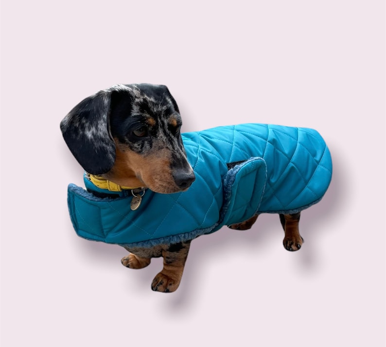 Manteau extra chaud pour teckel, Coupe personnalisée imperméable, Manteau d'hiver pour teckel, Manteau pour chien image 5