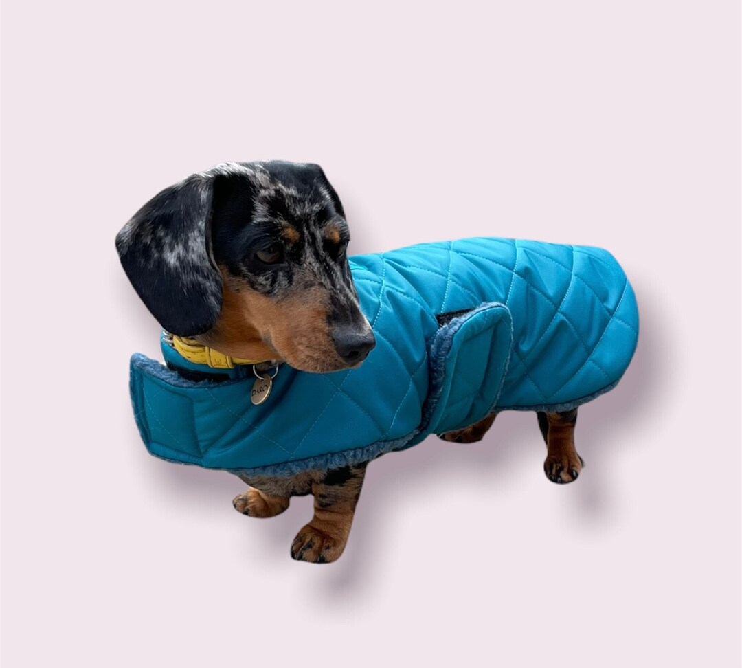 Extra Warm Coat Dachshund Waterproof Custom Made Etsy