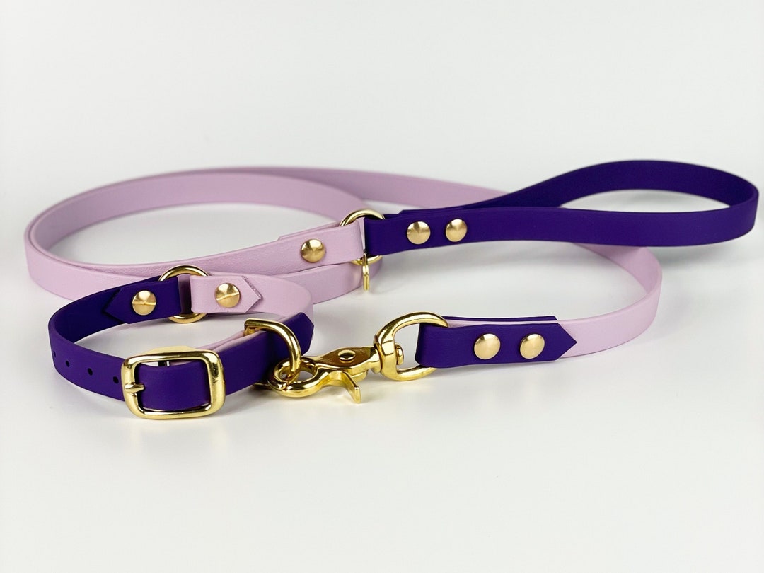 Luxury Biothane Collar and Lead Set, Dog Collar and Lead, Vegan Dog