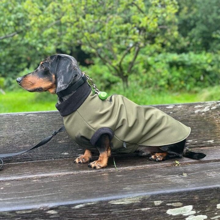 Waterproof Dachshund Jumper, Dachshund Zipper Fleece, Dachshund Coat with Zip