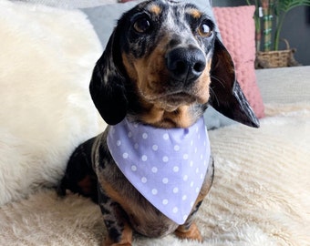 Purple Polka Dot Bandana