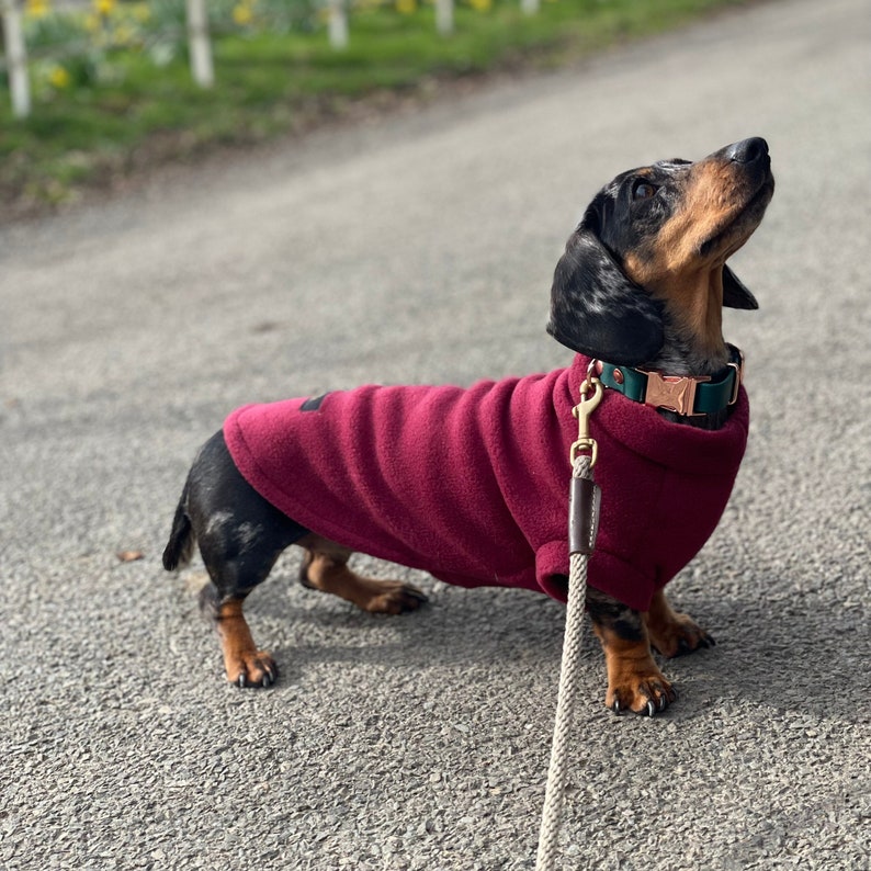 Dachshund Fleece, Luxury Dachshund Coat, Standard Sized Dachshund Jumper, Dachshund Coat image 1