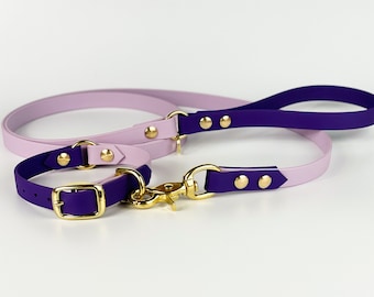 Waterproof BioThane Dog Collar and Leash Set, Two-Tone Vegan Pet Lead