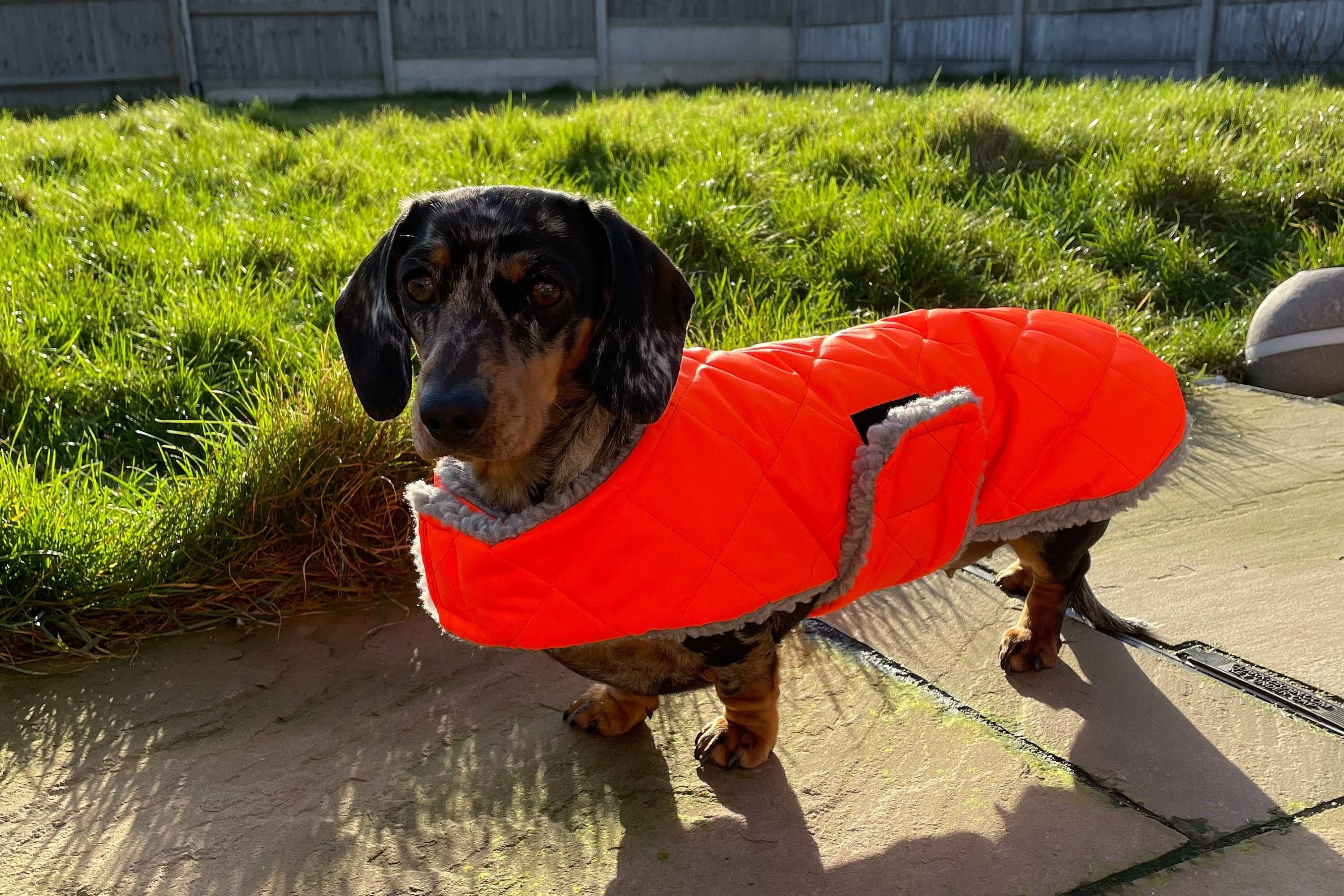 Fleece Dog Coat - Etsy UK