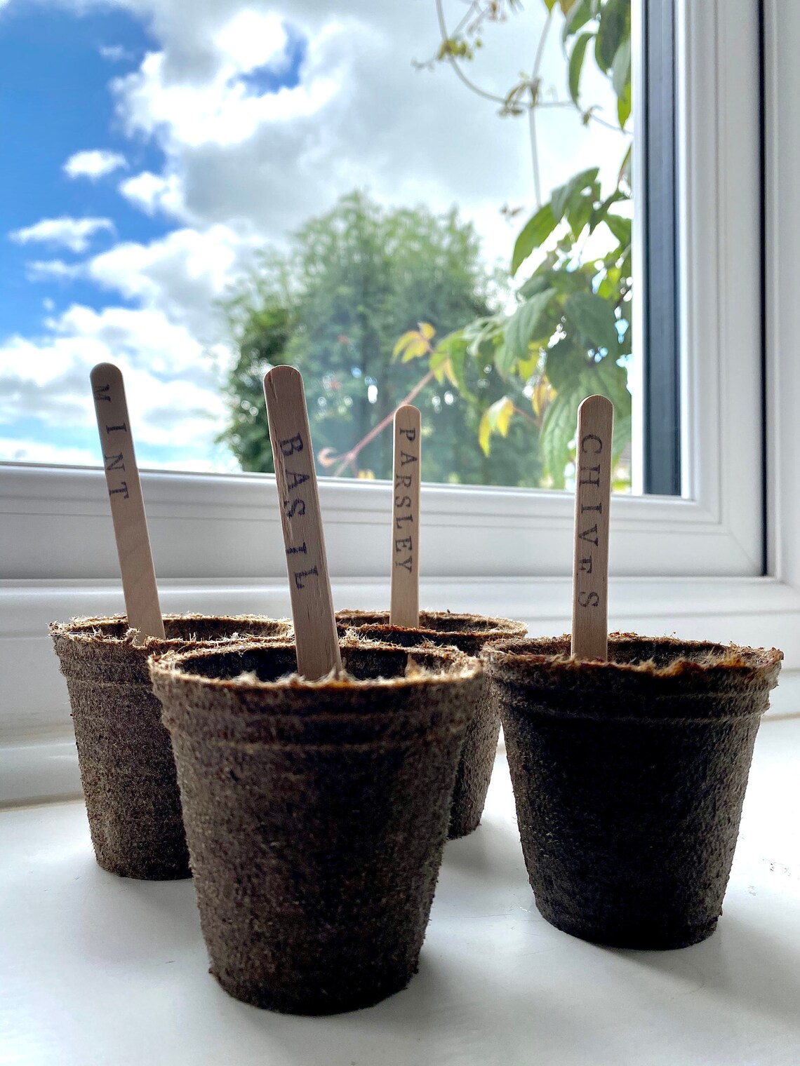 Indoor Herb Garden Gift Set 'Grow your Own' gift 4 Etsy