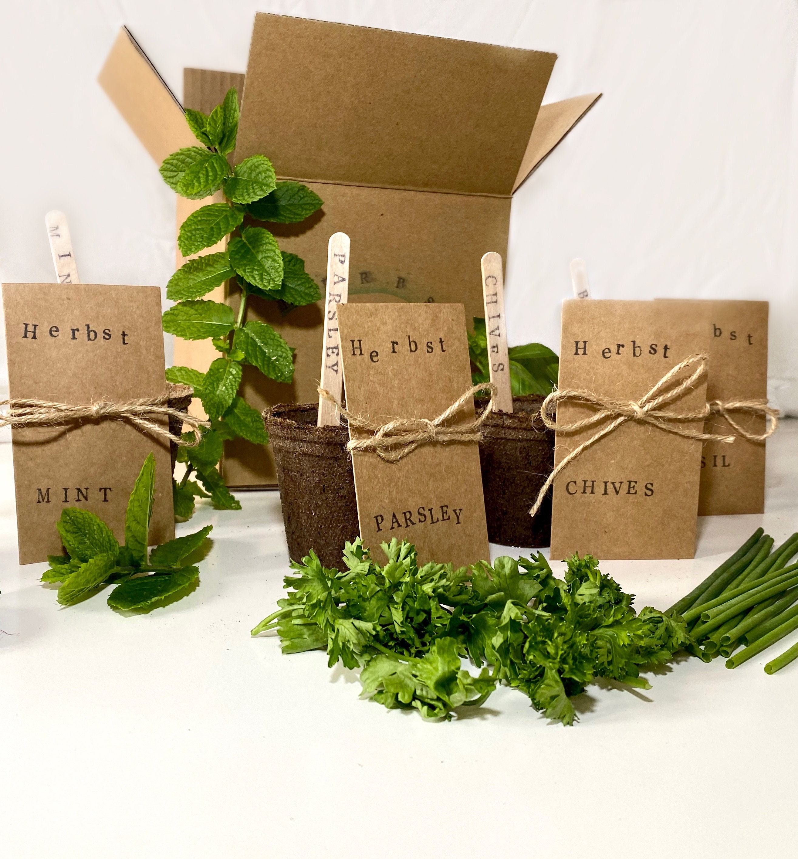 Indoor Herb Garden Gift Set 'Grow your Own' gift 4 Etsy