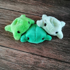 Pu&ograve; includere: Tre giocattoli di peluche a forma di cellule, uno verde, uno verde chiaro e uno azzurro. I giocattoli sono disposti a forma di triangolo su una superficie di legno.
