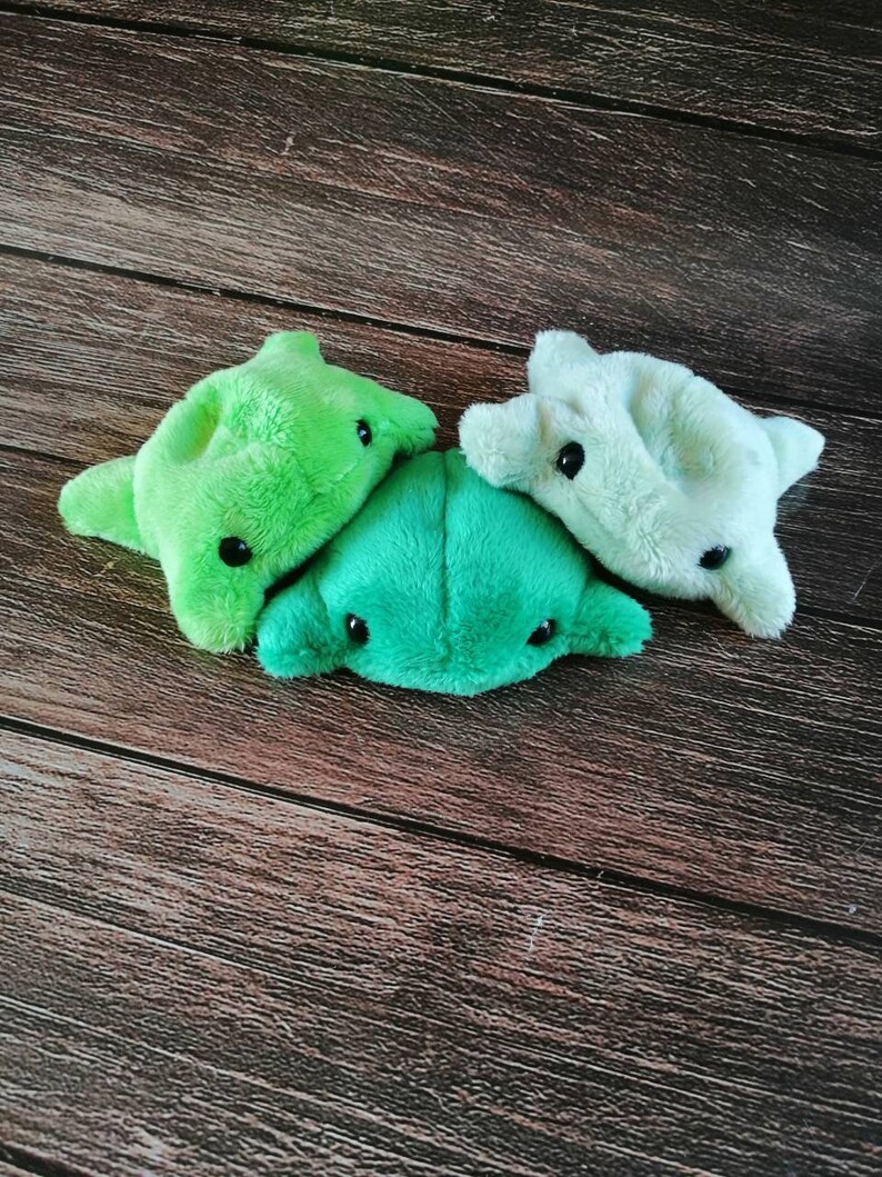 Pu&ograve; includere: Tre giocattoli di peluche a forma di cellule, uno verde, uno verde chiaro e uno azzurro. I giocattoli sono disposti a forma di triangolo su una superficie di legno.