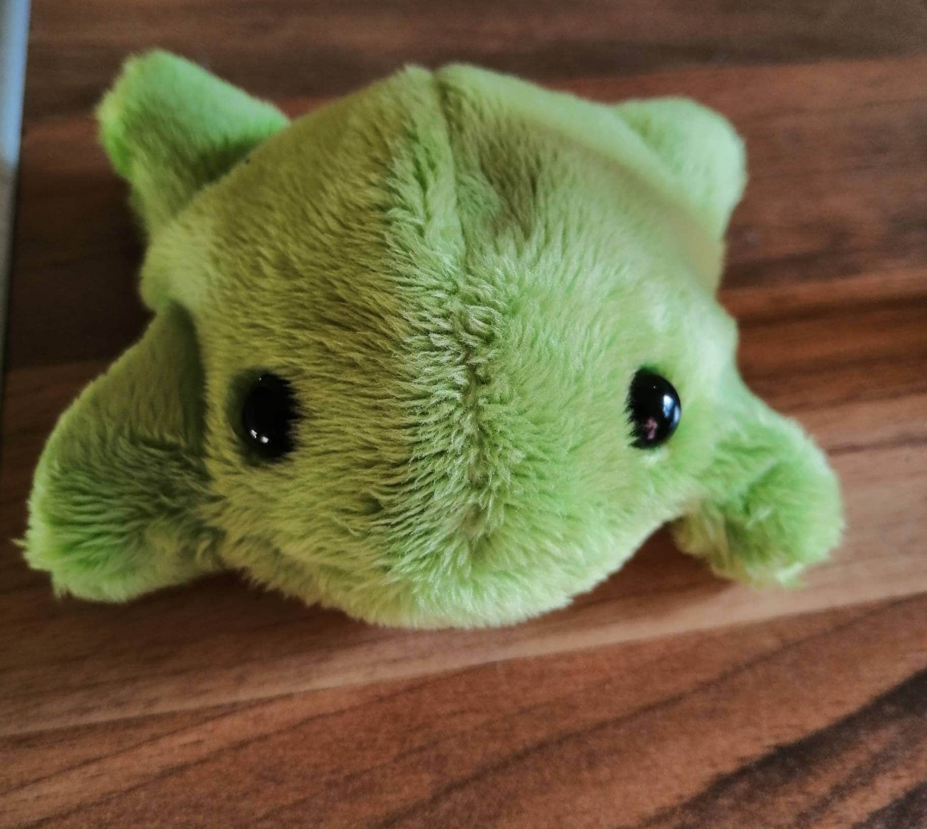 Baby Bean Frog Plush, 7inch Cute Soft Fluffy Frog Stuffed Animal Weighted  Frog Plushie Toy with Plastic Pellets, Stress Release Birthday Xmas Travel