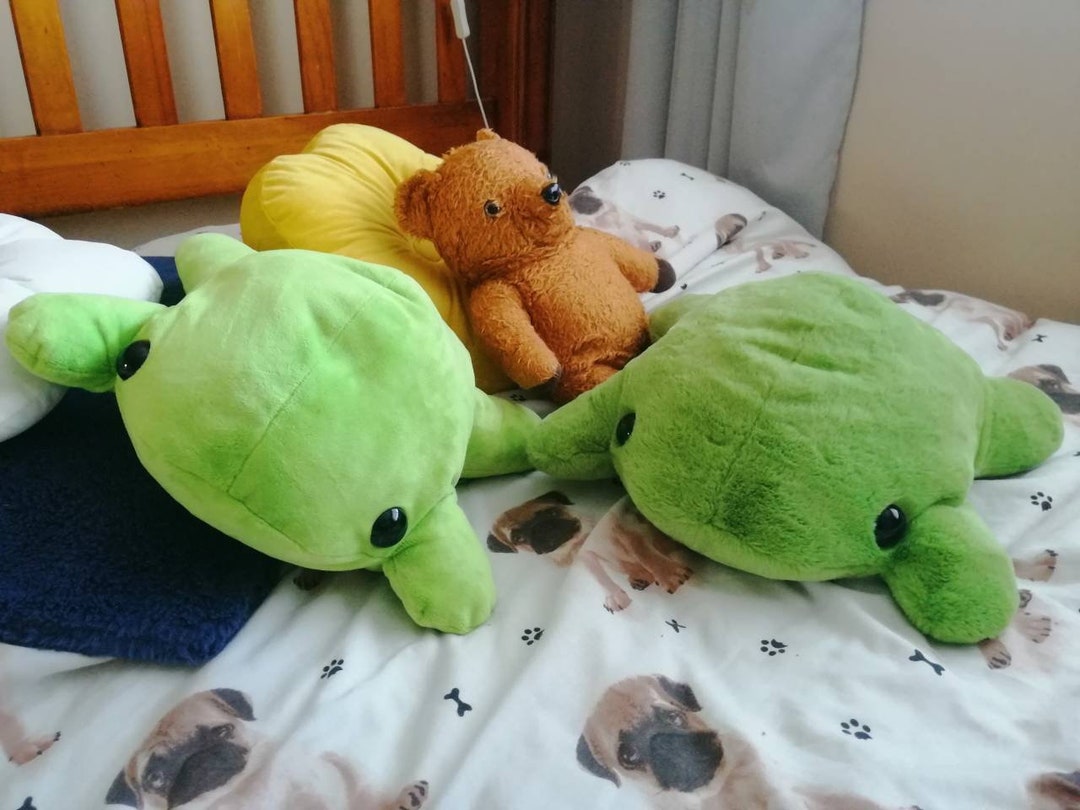 Giant Froggy Friend Cushions. Cute Funny Froggy Friend. Funky