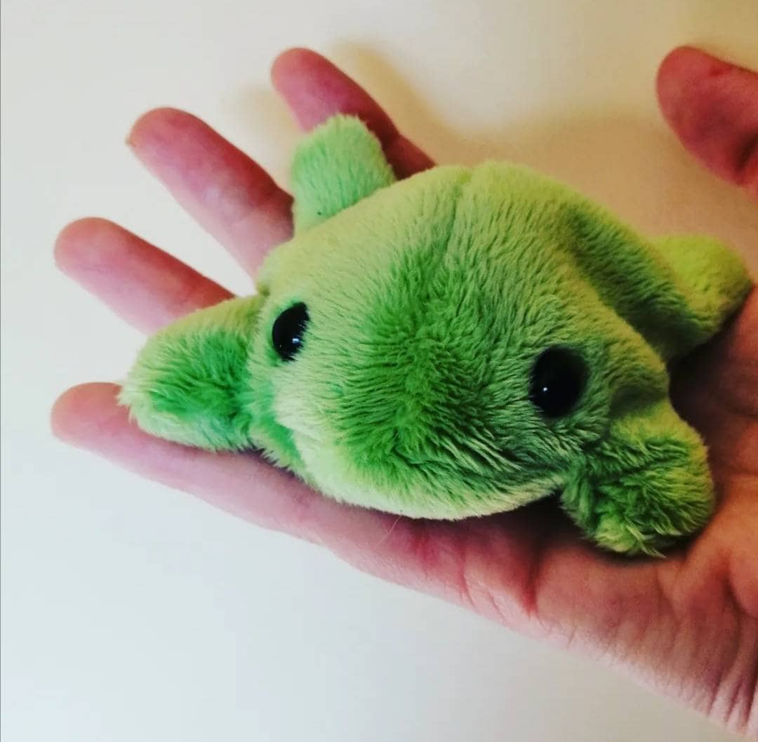 Tiny Frog Toy -  UK