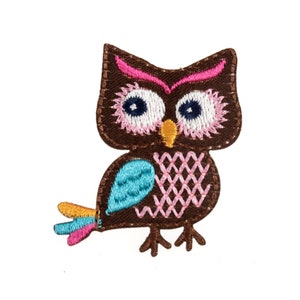 May include: Brown embroidered owl applique with pink, blue and yellow accents. The owl has large eyes and a patterned body.