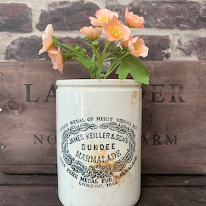 Può includere: Vaso in ceramica bianca con un'etichetta nera e dorata che recita "GRAND MEDAL OF MERIT VIENNA 1873 JAMES KEILLER & SONS DUNDEE MARMALADE ONLY PRIZE MEDAL FOR MARMALADE LONDON. 1862". Il vaso è pieno di fiori rosa.
