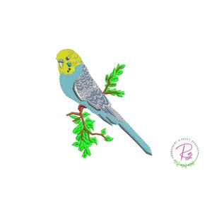 Budgie Budgerigar Machine embroidery /Embroidery Design /Bird with steam and green leaves /Cute budgie bird in stem /