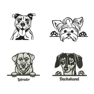 May include: Four black and white line drawings of dogs peeking over a surface. The dogs are a Labrador, a Dachshund, a Yorkshire Terrier, and a Pit Bull. The dogs are all looking at the viewer.