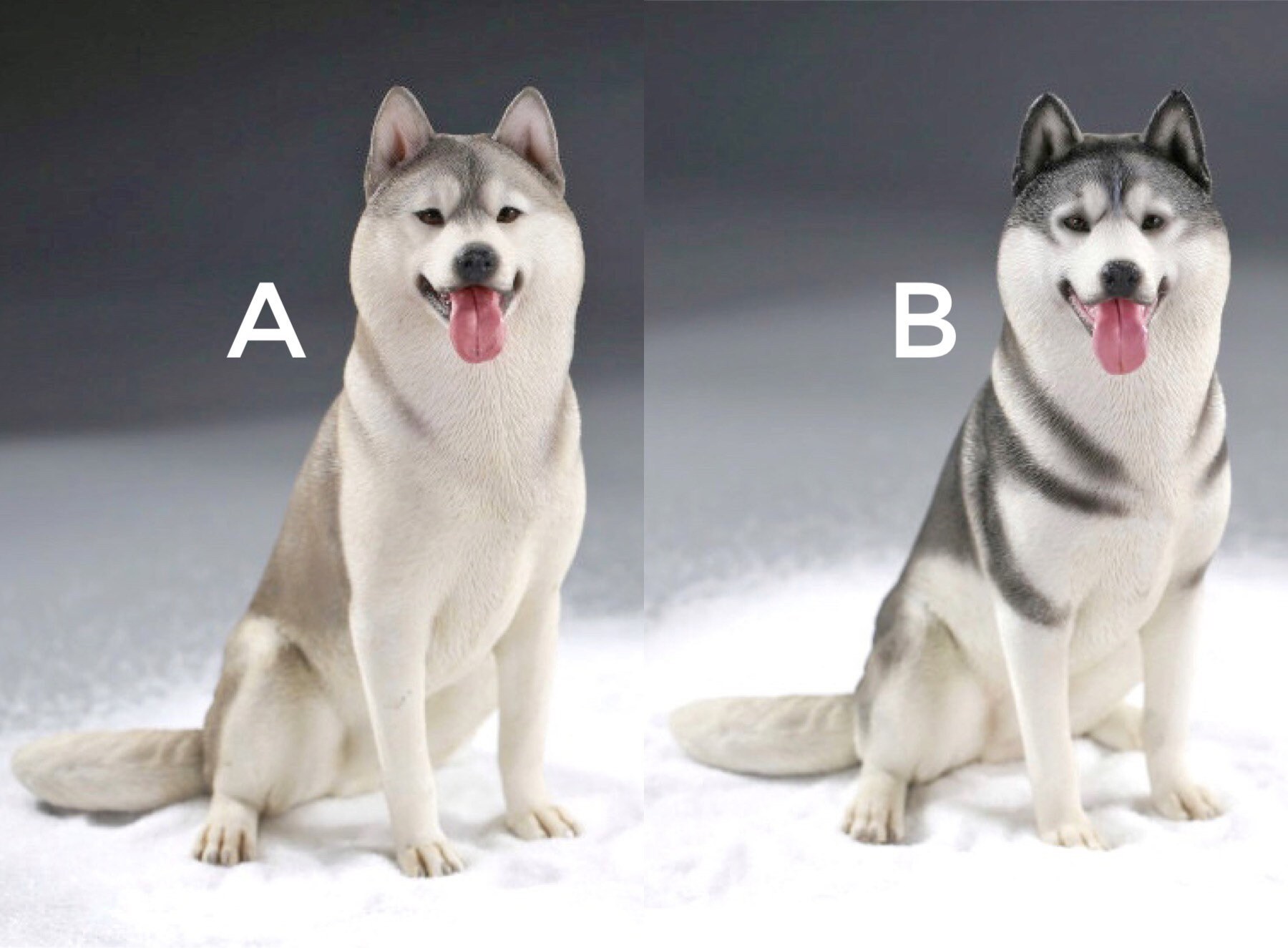 Siberian Husky realistic puppy figurine miniature statue Etsy