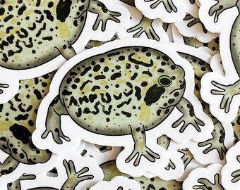 South African Rain Frog (Puffed Up Frog) Sticker - Die Cut & Waterproof