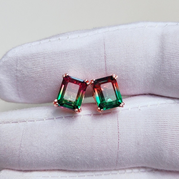 Watermelon Earrings Etsy