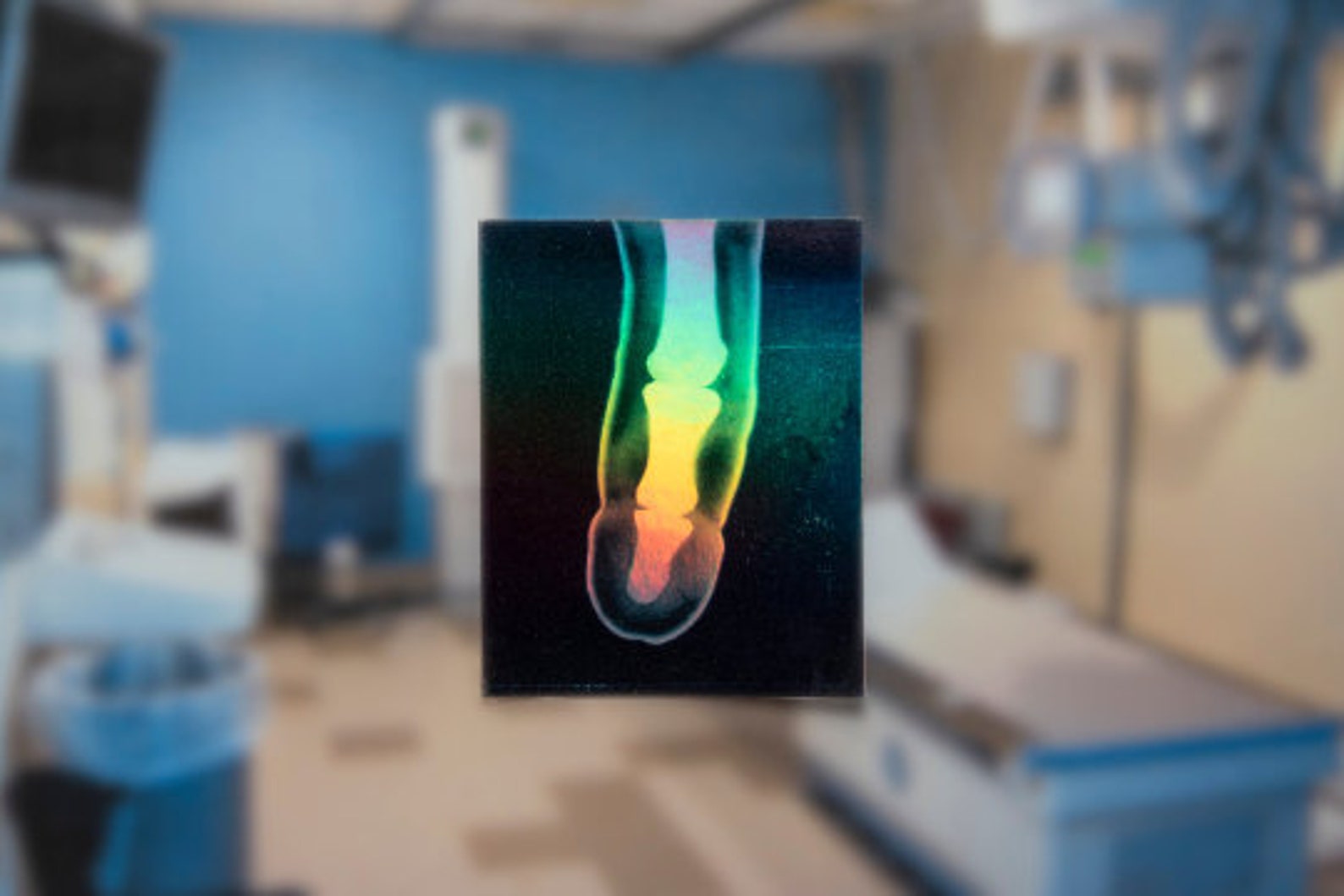 Boner Xray Sticker 3 Pack 3 Pack of Stickers Pack of 3 Etsy UK