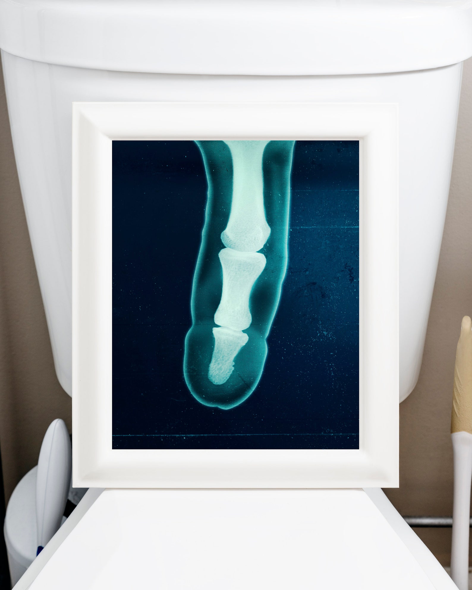 Boner XRay wall art print home decor wall art print Etsy