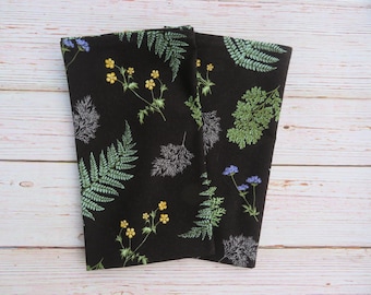 Ferns on black background