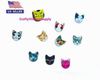 10 thumbtacks crazy cat lady push pins  decorator message board