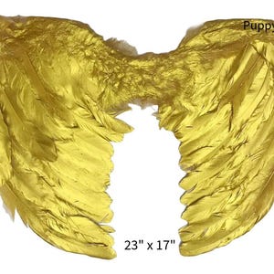 Halloween gouden vogel cosplay gouden engelenvleugels voor honden hondenkostuum veer m l