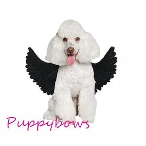 Halloween witte engelenvleugels voor honden 45-95 lbs hondenkostuum veren grote honden
