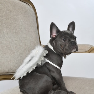 Kerst engelenvleugels voor honden wit en zilver wit en goud hondenkostuum veer kleiner 5lb - 15lb