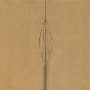 May include: A close-up of a brown paper surface with a single, thin, vertical line drawn down the center. The line is slightly curved at the top and bottom, and there is a small, pointed shape at the top of the line.