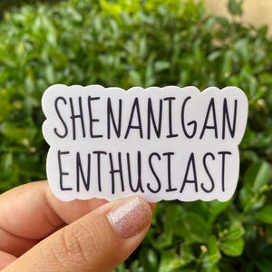 May include: White sticker with black text that reads "Shenanigan Enthusiast".