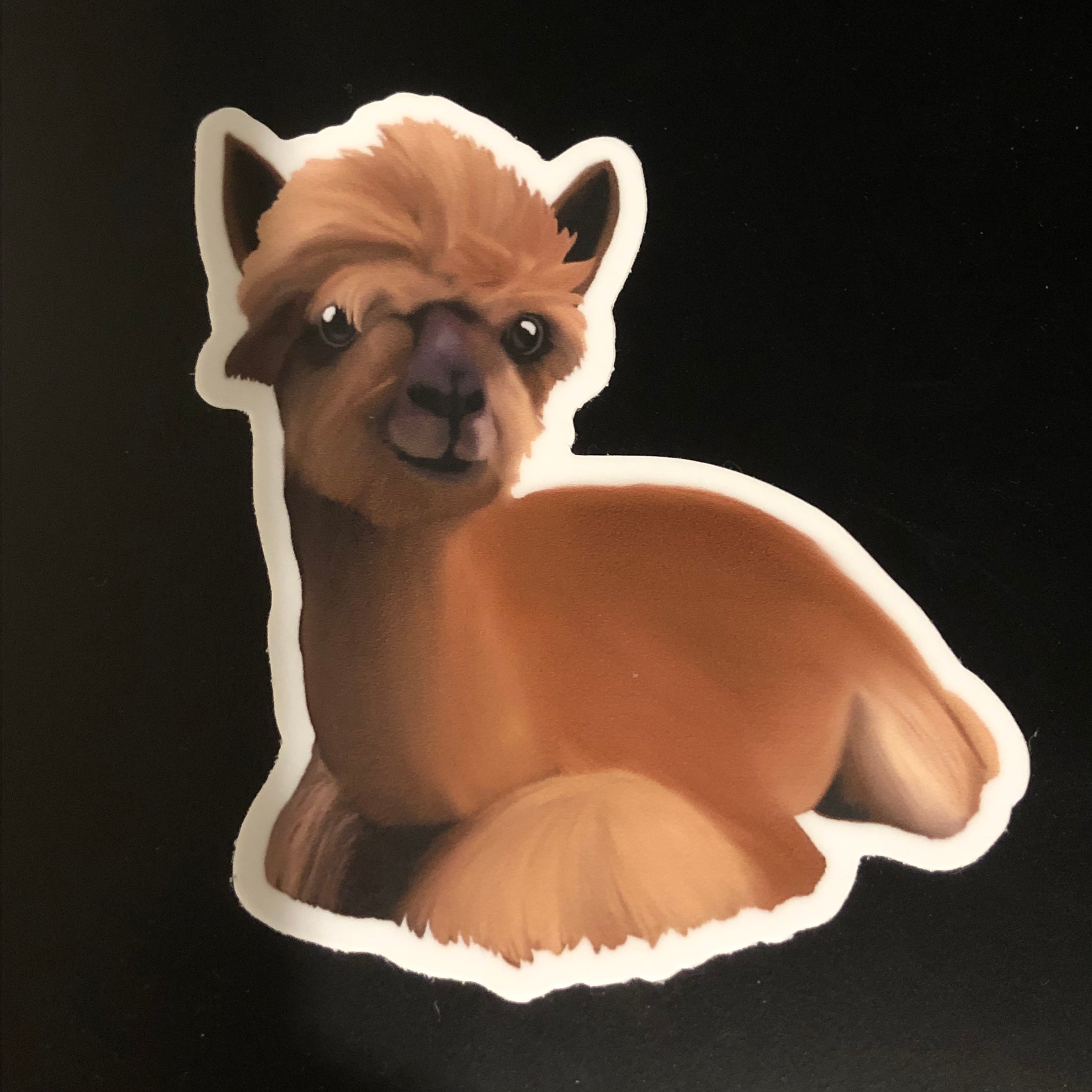 Alpaca Sticker, Illustrated Sticker, Illustrated Alpaca Sticker ...