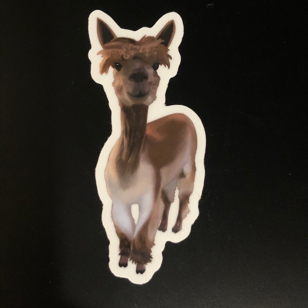 Alpaca Sticker, Illustrated Sticker, Illustrated Alpaca Sticker ...