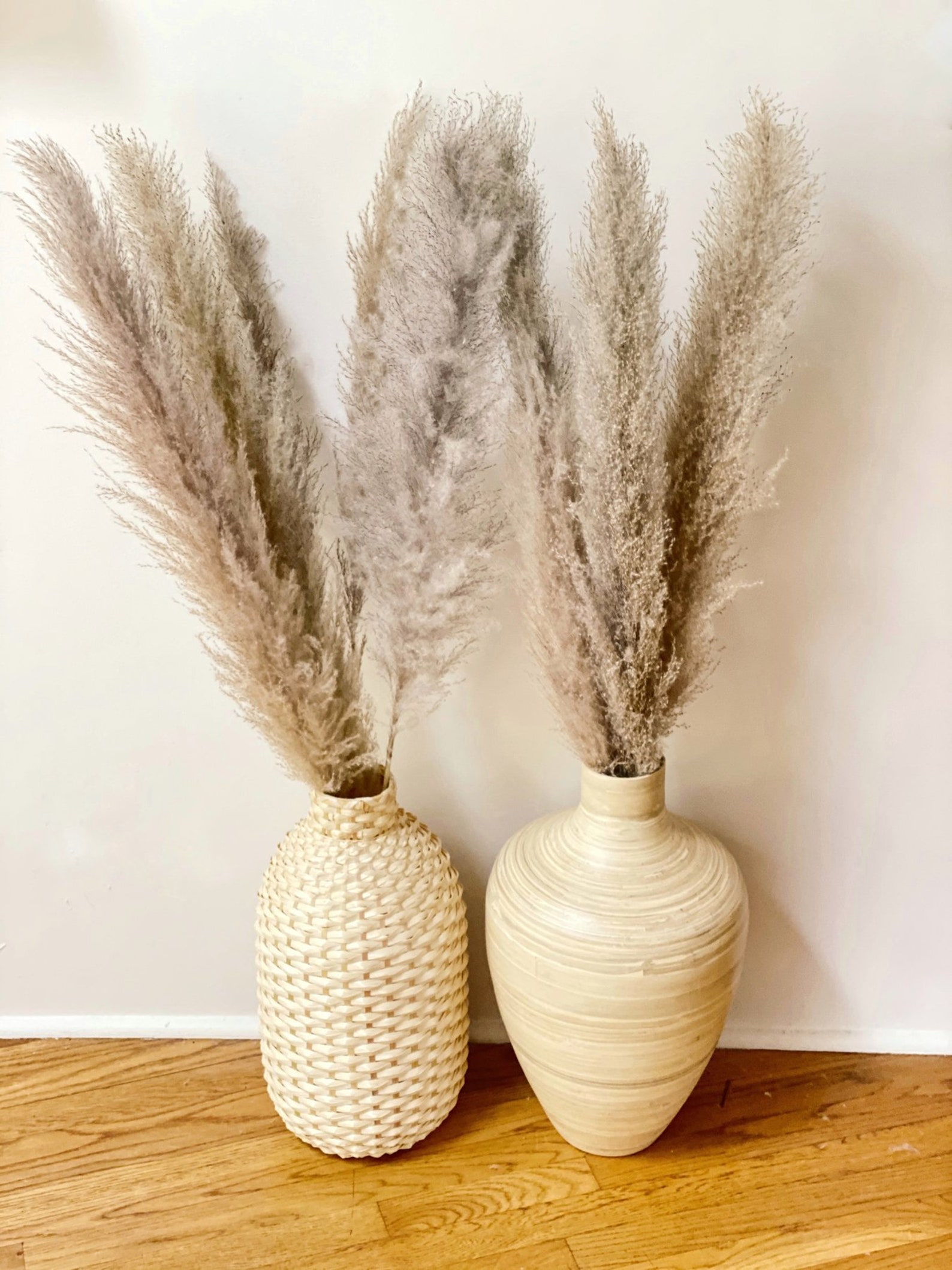 Pampa Pumba Natural Dried Pampas Grass Tall Plant Gray Etsy