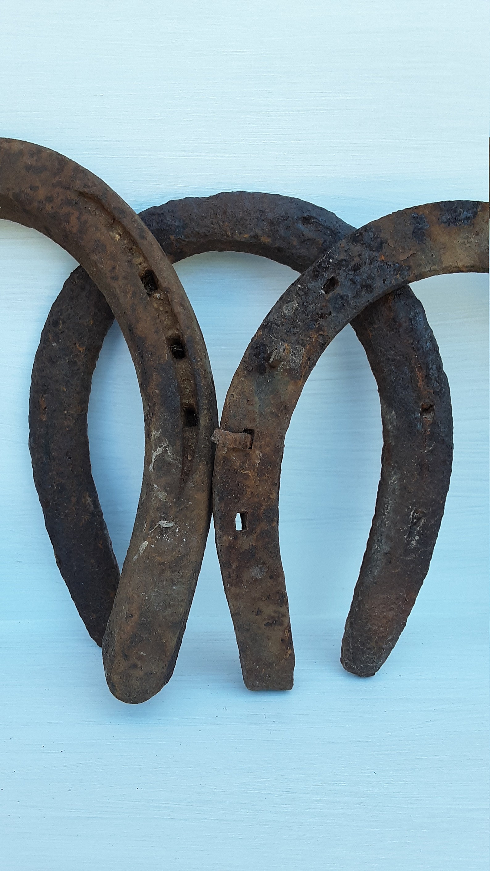 Lot of 3 Horseshoes Lucky Horseshoe Rustic Decor Barn Etsy