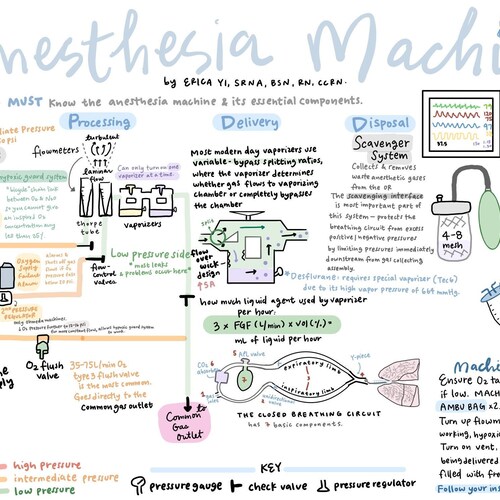 Anesthesia Machine Basics Etsy