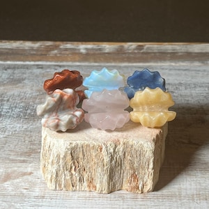 Carved Mini Crystal Clam Shell: Rose Quartz, Aventurine, Calcite