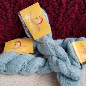 May include: Two skeins of light blue yarn labeled "Misti Alpaca" with the text "100% Baby Alpaca/100% Baby Alpaca" and "LACE 2 PLY 2 BRUNS".