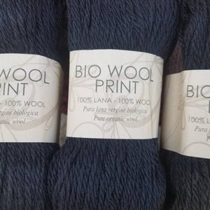 Sesia Bio Wool Print Yarn Color 5507
