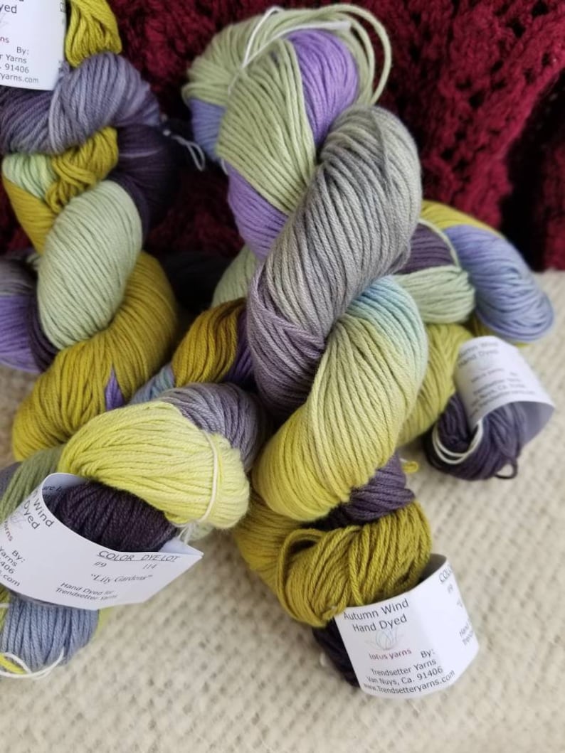 Lotus Yarns by Trendsetter Autumn Detroit Mall Wind Dyed Lil Fresno Mall Color Hand