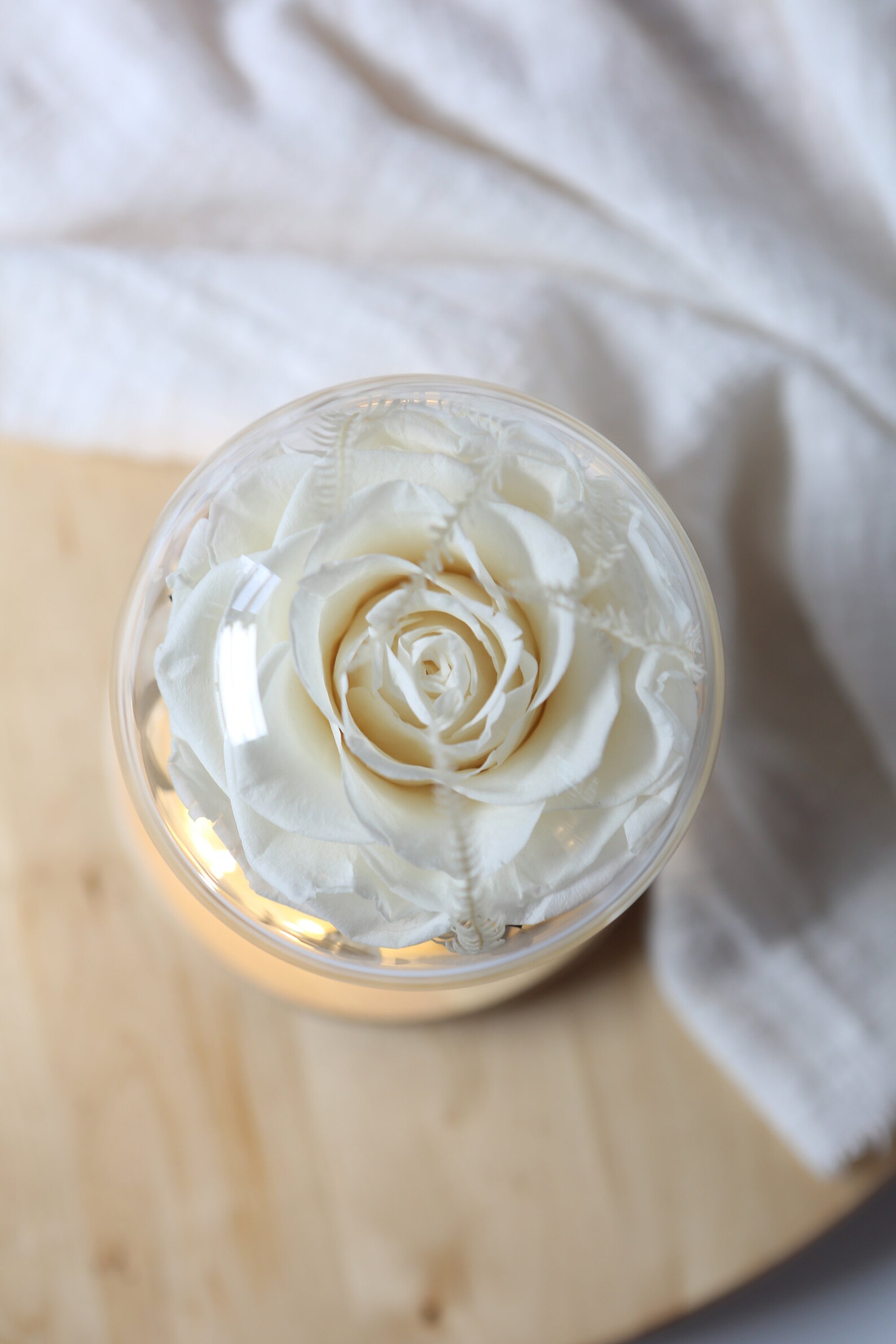 Preserved Flowers in Glass Dome Flowers in Glass Dome Etsy