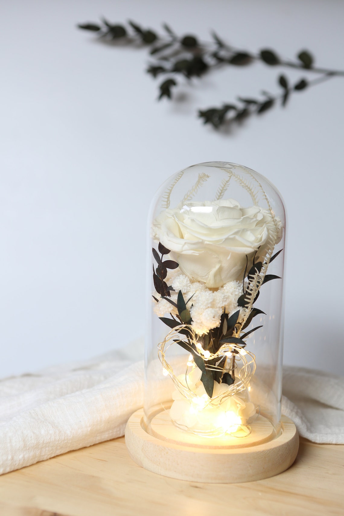 Preserved Flowers in Glass Dome Flowers in Glass Dome Etsy