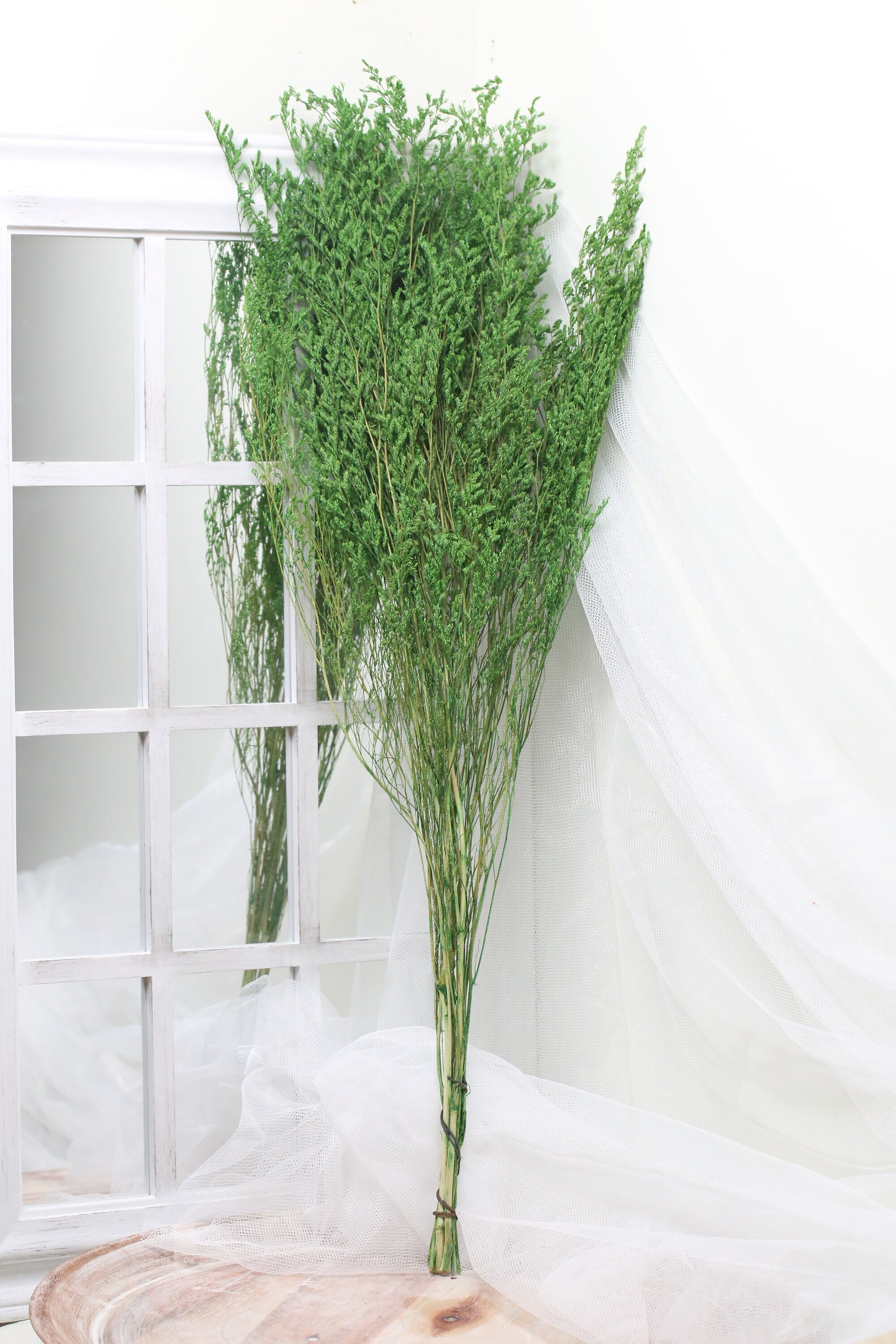 20g Preserved Caspia in green color, wedding decor, home decor, diy flower arrangements, floral arrangements, dried flowers