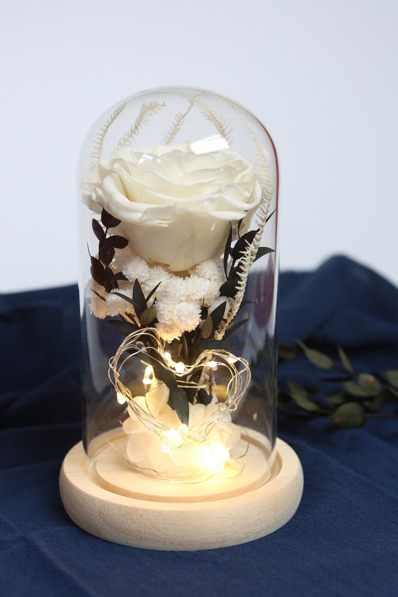 Preserved Flowers in Glass Dome Flowers in Glass Dome Etsy