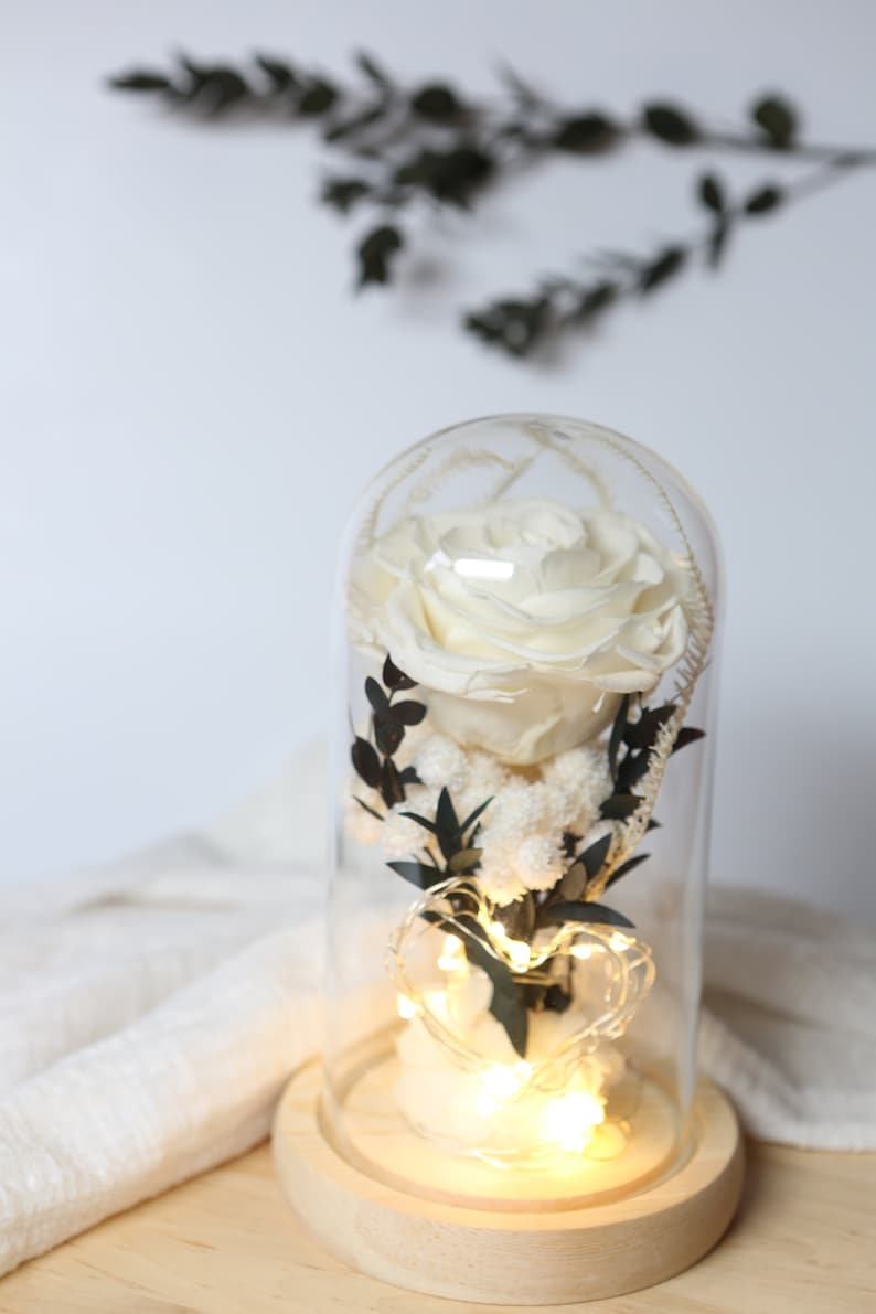 Preserved Flowers in Glass Dome Flowers in Glass Dome Etsy