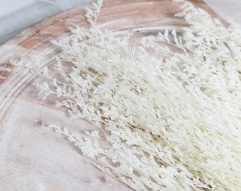 May include: A bundle of dried, off-white ornamental grass, arranged on a light-colored, wooden surface. The delicate, feathery texture of the grass contrasts with the smooth, natural wood grain. The scene is softly lit, creating a serene, natural aesthetic.