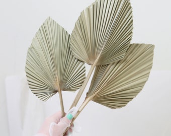 SPEAR DRIED PALM Leaves -Natural Large Palm Leaves, Boho Wedding and Bridal Bouquet