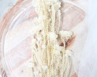 May include: A bundle of dried, cream-colored flowers with delicate, branching stems and small, clustered blooms. The flowers rest on a light brown, wooden, round tray with a white, sheer fabric in the background. The flowers are a natural, rustic decorative element.